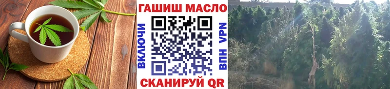 Canna-Cookies марихуана  OMG ссылка  Сланцы 