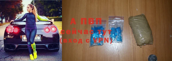 стаф Балахна