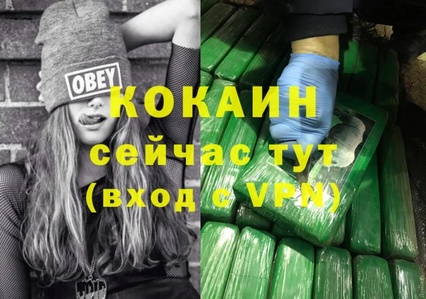 стаф Балахна