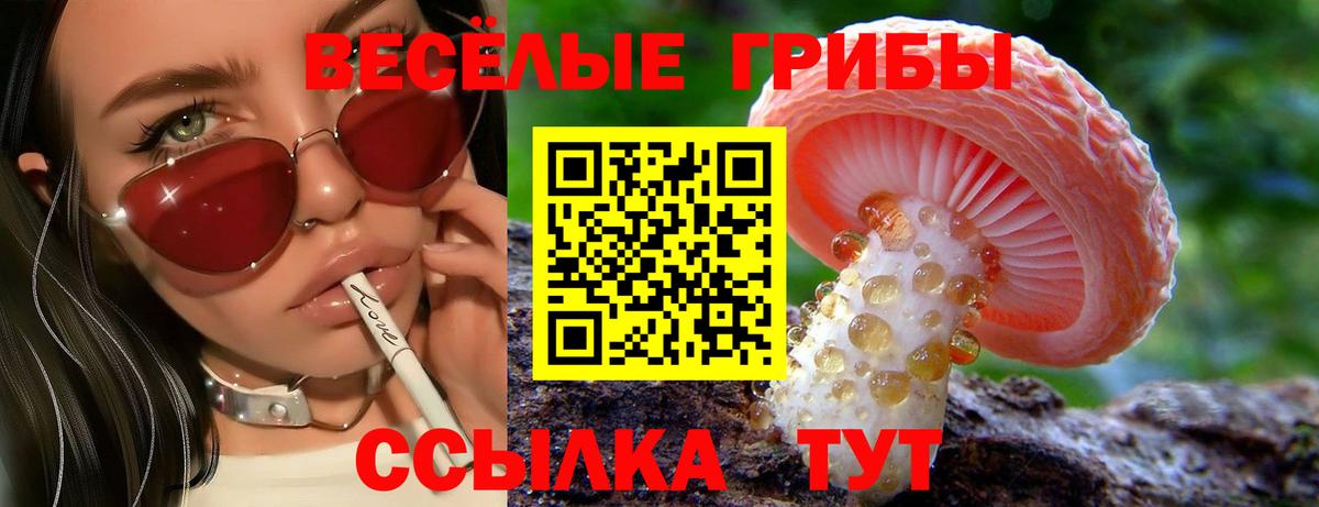 Галлюциногенные грибы Psilocybine cubensis Сланцы