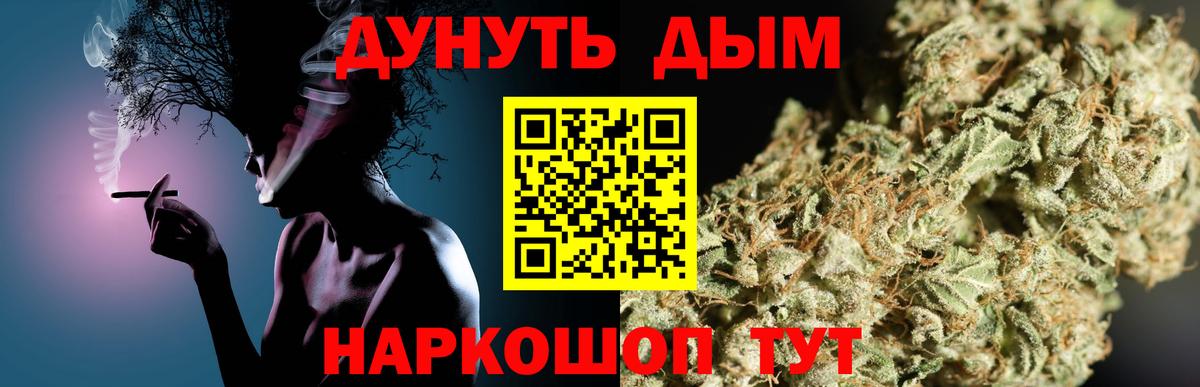 МАРИХУАНА SATIVA & INDICA  Марихуана план  Каннабис марихуана  Вход с VPN  Сланцы 